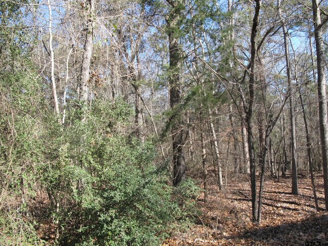 tobedetermine County Rd 2337, Tyler, TX 75707