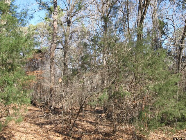 tobedetermine County Rd 2337, Tyler, TX 75707