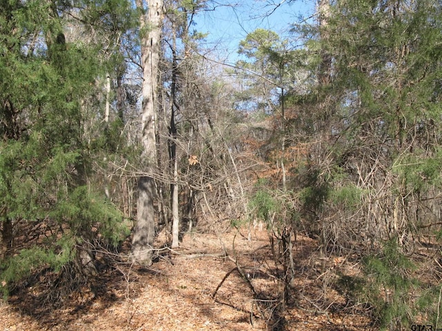 tobedetermine County Rd 2337, Tyler, TX 75707