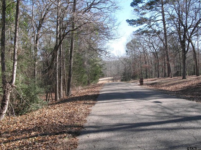 tobedetermine County Rd 2337, Tyler, TX 75707