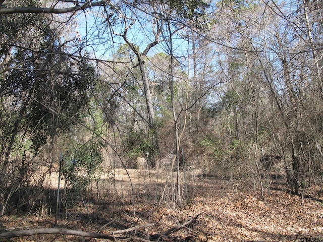 Listing photo 2 for tobedetermine County Rd 2337, Tyler TX 75707