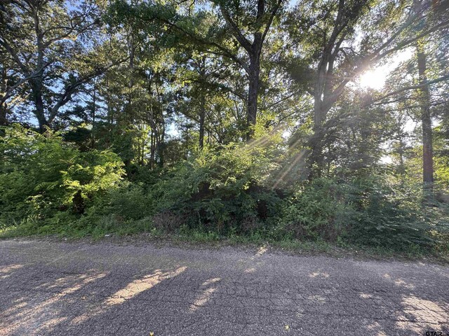 LOT55 Hillside Dr, Tyler, TX 75709 - photo 5