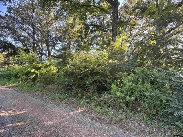 LOT55 Hillside Dr, Tyler, TX 75709 - photo 3