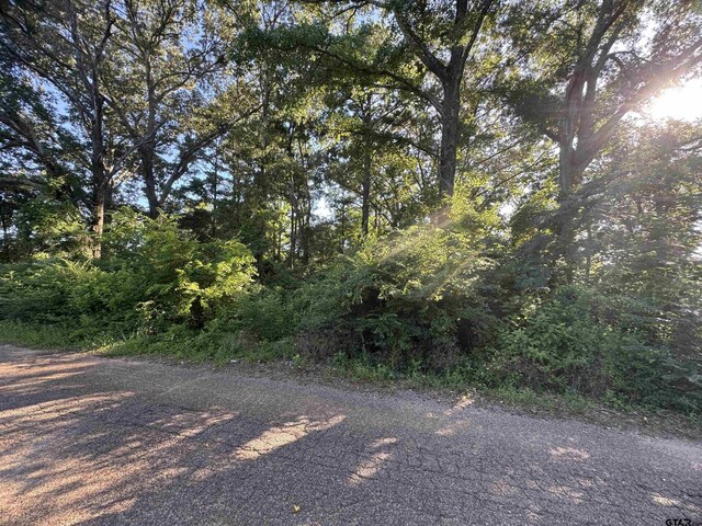 LOT55 Hillside Dr, Tyler, TX 75709 - photo 4