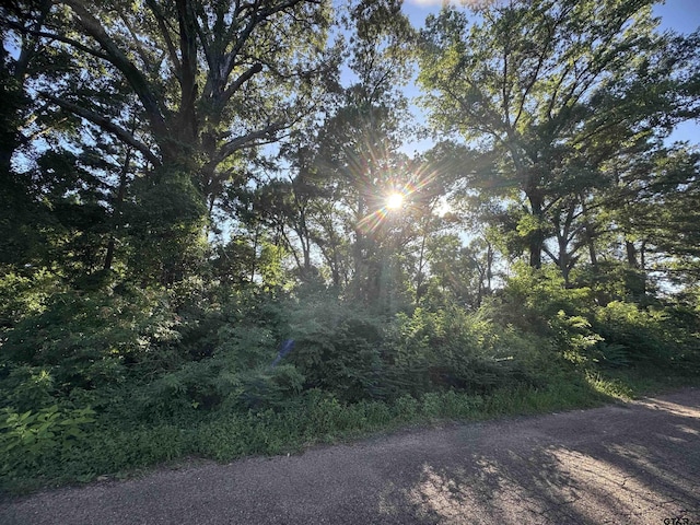 LOT55 Hillside Dr, Tyler, TX 75709 - photo 1