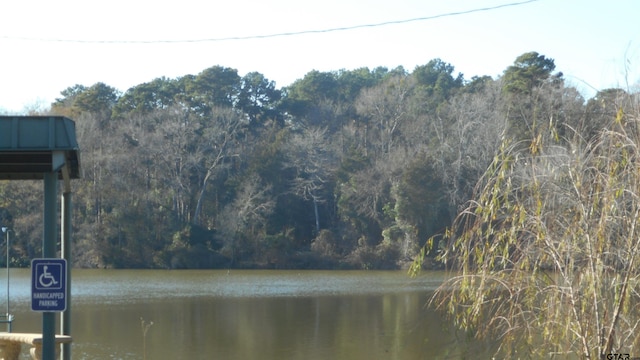 water view featuring a view of trees
