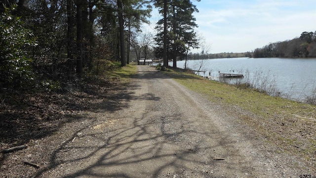 view of street with dirt driveway and a water view