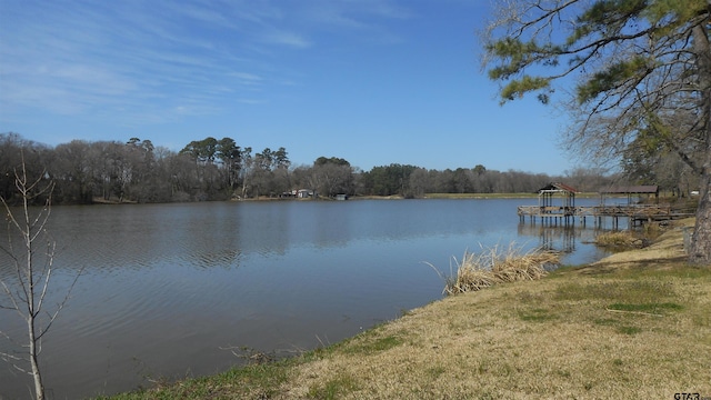 view of water feature