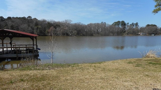dock area with a water view and a view of trees