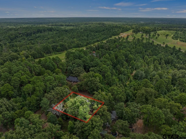 160 Summitt Dr, Avinger, TX 75630 - photo 34