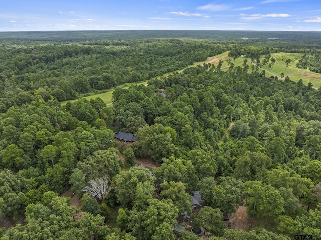 160 Summitt Dr, Avinger, TX 75630 - photo 30