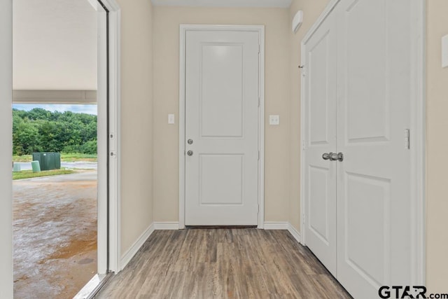 doorway to outside with light wood-type flooring