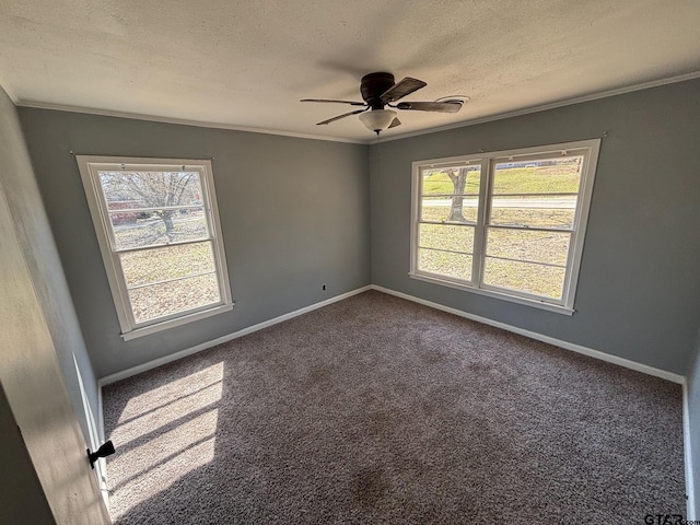 spare room with baseboards, carpet, ornamental molding, and a textured ceiling