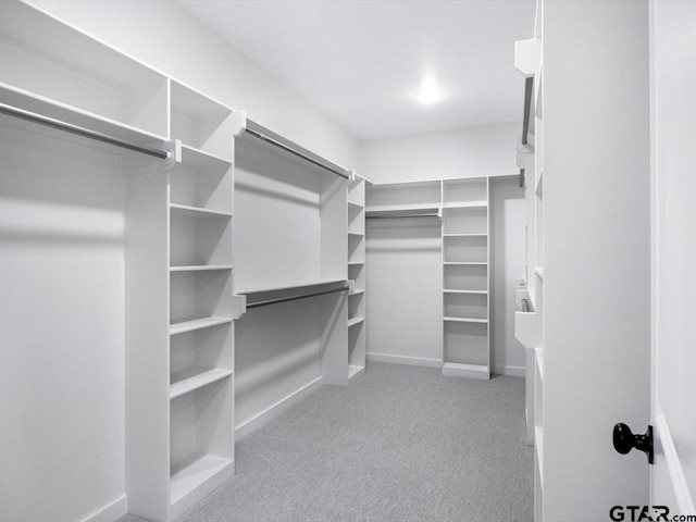 walk in closet with light carpet