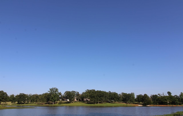 Listing photo 3 for 14502 Garden Valley Dr, Lindale TX 75771