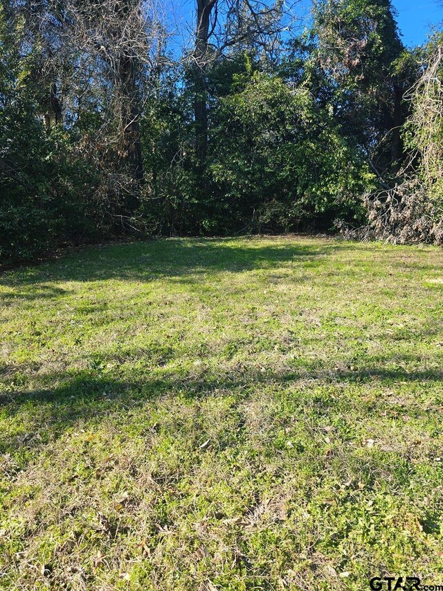 2106 Charlotte Dr, Tyler, TX 75702 - photo 3