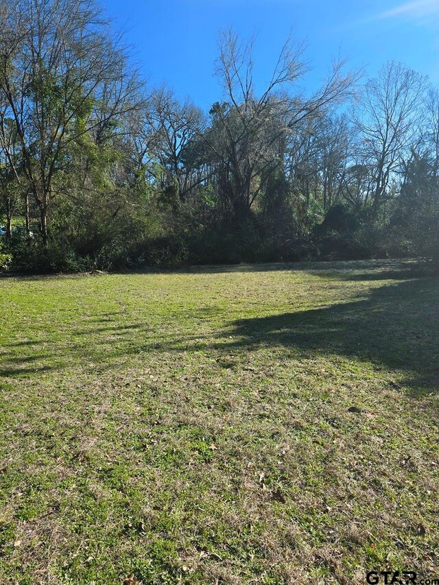 2106 Charlotte Dr, Tyler, TX 75702 - photo 4