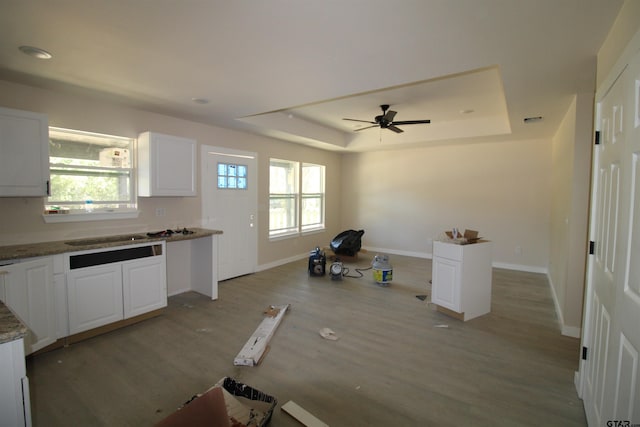 kitchen with light wood-type flooring, a wealth of natural light, a raised ceiling, and baseboards