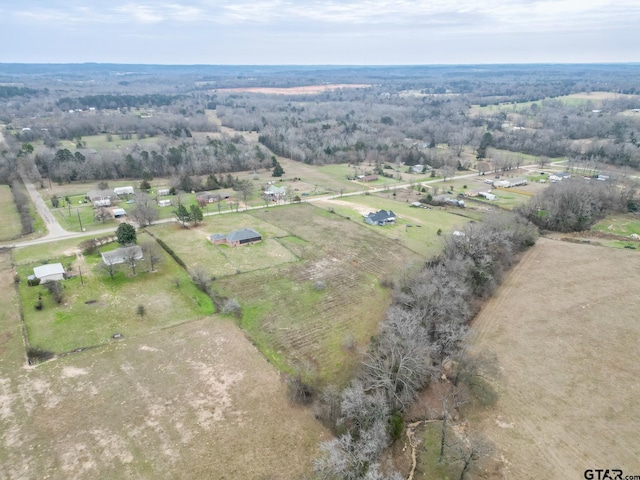 drone / aerial view featuring a rural view