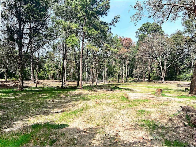 513 E Sh 323, Overton TX, 75684 land for sale