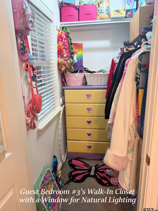 12260 Wild Horse, Tyler, TX 75706 - spacious closet with carpet floors