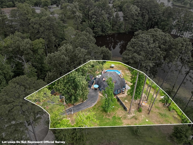 drone / aerial view with a water view and a view of trees