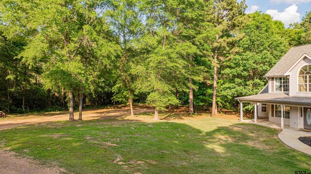 827 Collins Rd, Hallsville, TX 75650 - photo 32