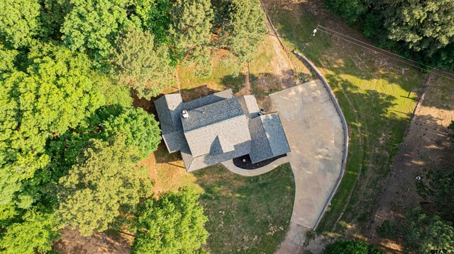 827 Collins Rd, Hallsville, TX 75650 - photo 27