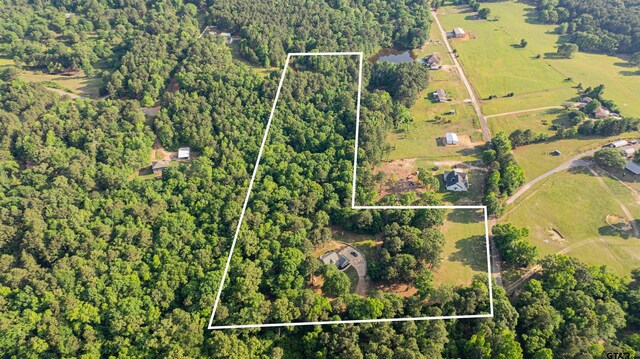 827 Collins Rd, Hallsville, TX 75650 - photo 29