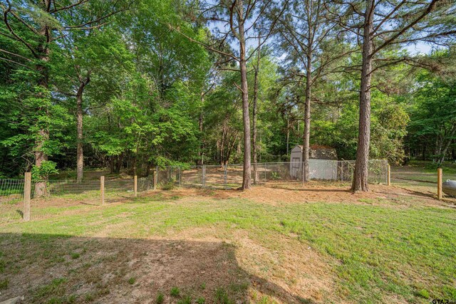 827 Collins Rd, Hallsville, TX 75650 - photo 26