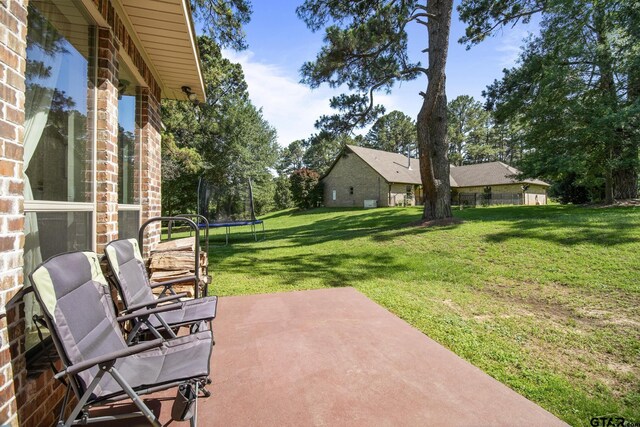 18424 Whipporwill, Flint, TX 75762 - view of patio / terrace with a trampoline and view of scattered trees