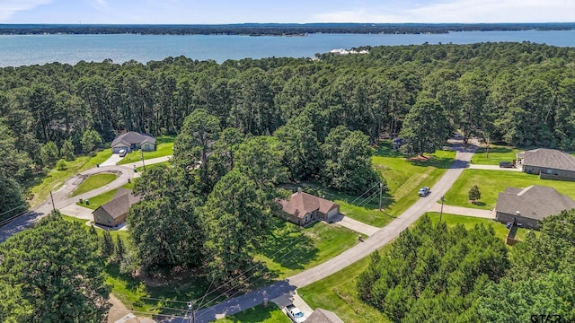 18424 Whipporwill, Flint, TX 75762 - aerial overview of property's location with a forest and a nearby body of water