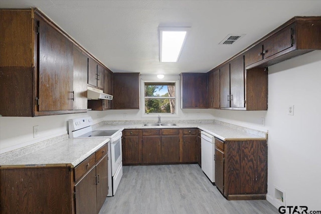 kitchen with light wood-type flooring, white appliances, sink, and dark brown cabinets