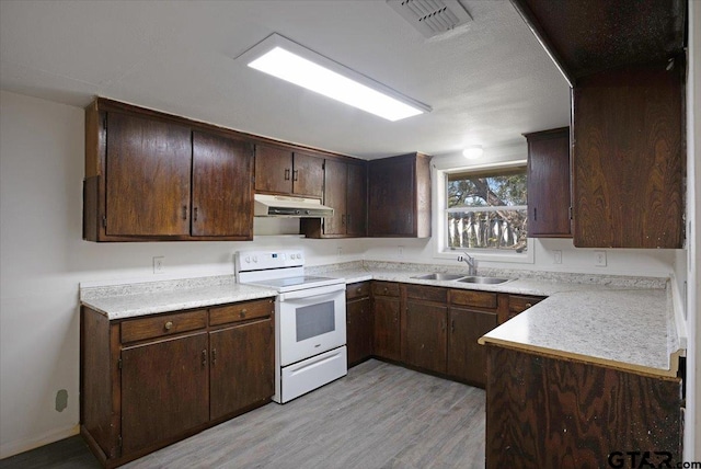 kitchen with dark brown cabinetry, white electric range, sink, and light hardwood / wood-style flooring