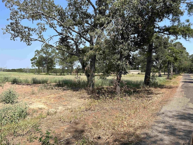 Listing photo 2 for 6.7ACRESTBD County Road 2169, Troup TX 75789