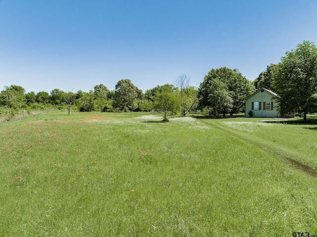 view of yard with a rural view