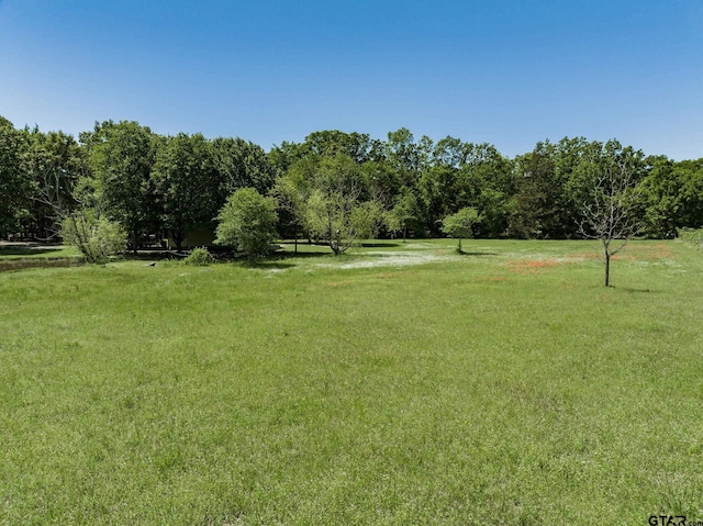 view of yard featuring a rural view