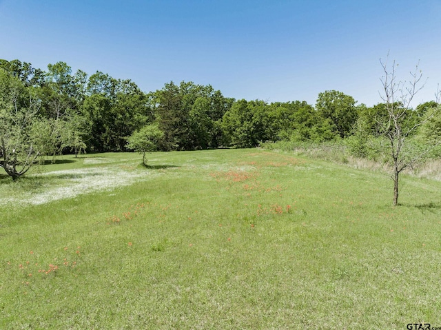 view of yard featuring a rural view