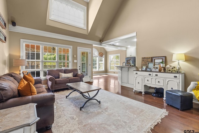 living room featuring high vaulted ceiling and dark wood-type flooring