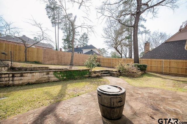 view of yard with a patio area