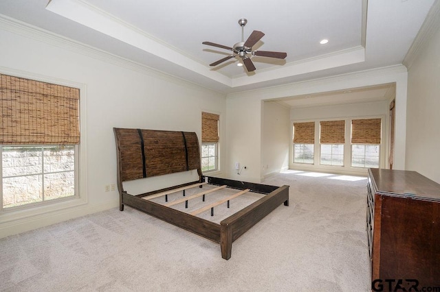 rec room featuring light colored carpet, a healthy amount of sunlight, and a raised ceiling