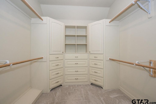 spacious closet featuring light colored carpet