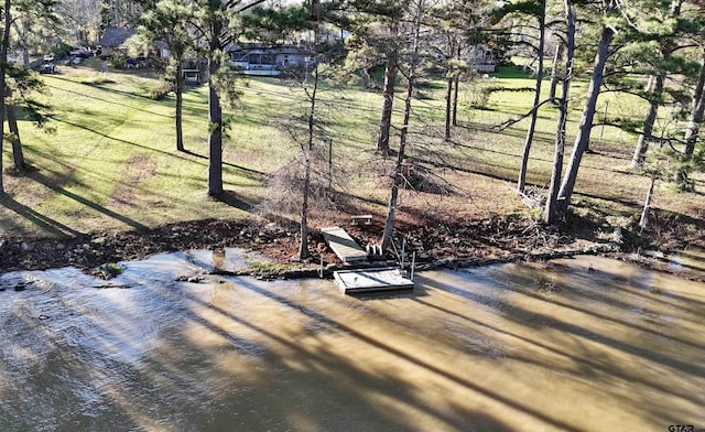 view of home's community with a dock