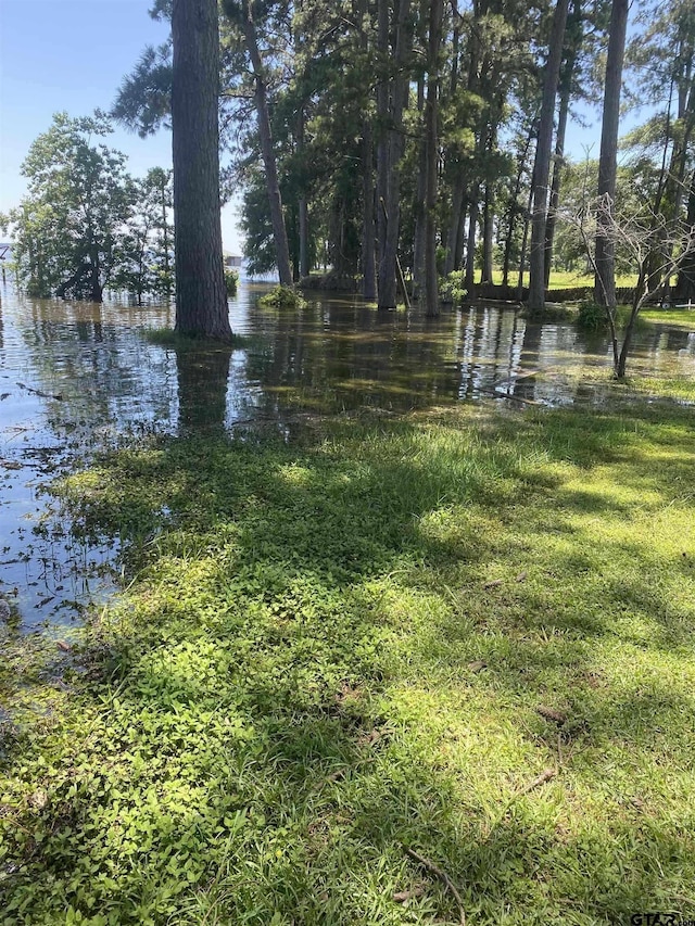 view of yard with a water view