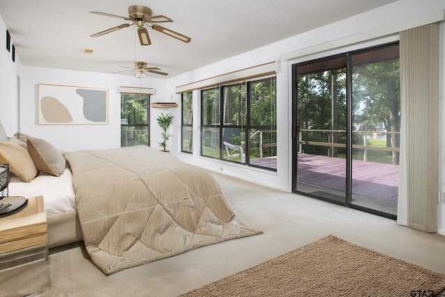 2759 Lake Breeze Dr, Chandler, TX 75758 - bedroom with access to exterior and carpet flooring