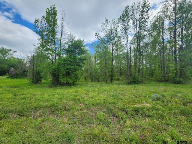 0000 Concho, Quitman TX, 75783 land for sale