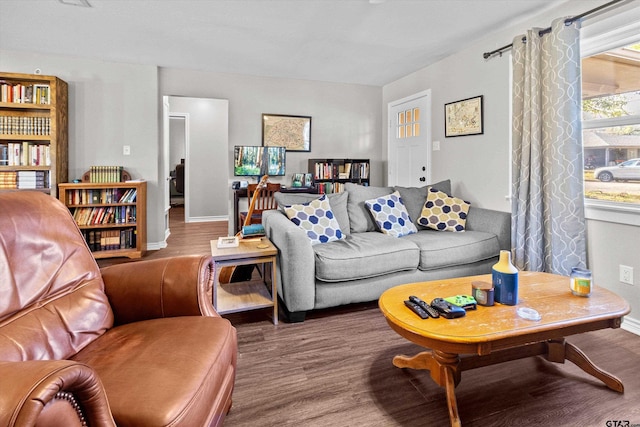 living room featuring wood-type flooring