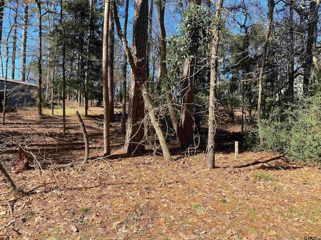 LOT303 Weeping Willow Cv, Holly Lake Ranch, TX 75765