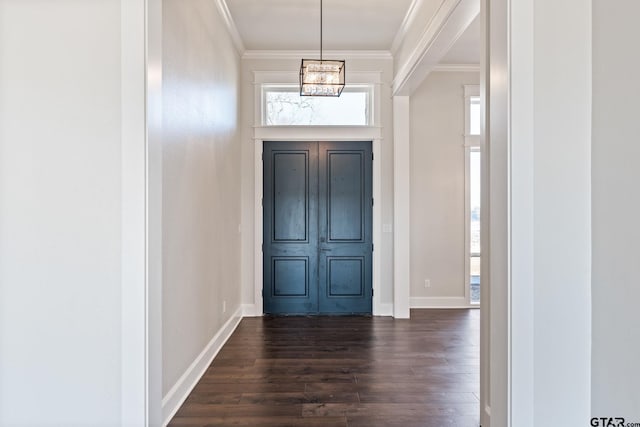 foyer with a chandelier, crown molding, and dark hardwood / wood-style flooring