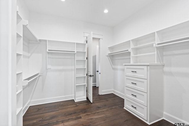 spacious closet with dark wood-type flooring